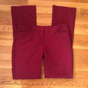 Express Barely Boot Columnist dress pants